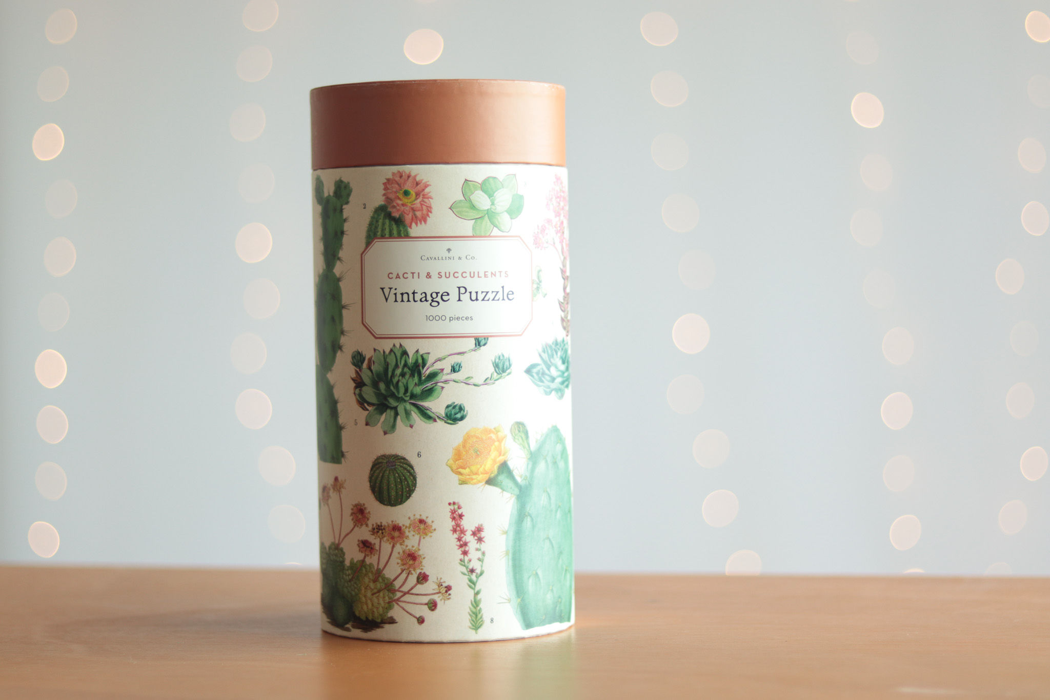 VINTAGE CACTUS & SUCCULENTS PUZZLE