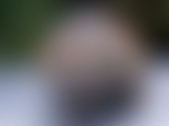 اسباب انتشار الفئران في المنزل