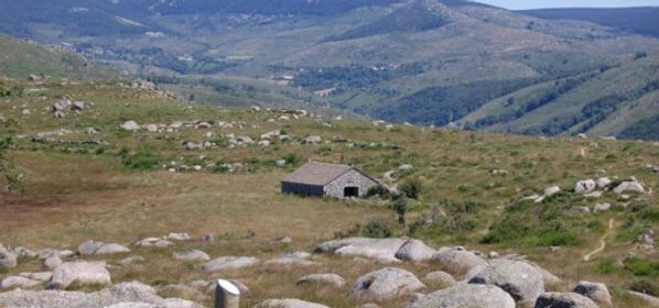 Paysage-du-Mont-Lozere_lightbox.jpg
