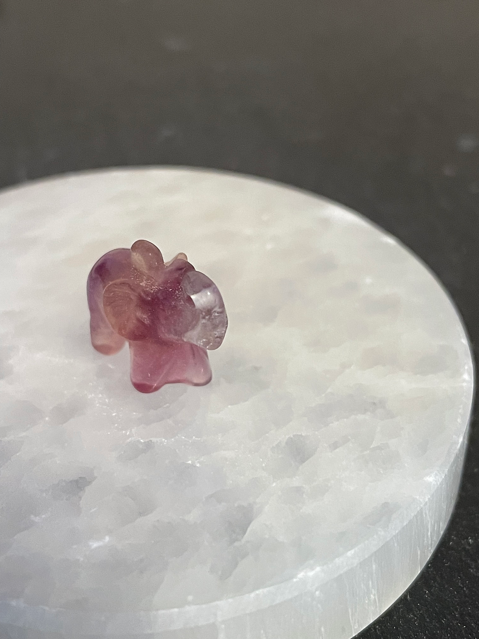 Thumbnail: Tiny Fluorite Elephant Carving