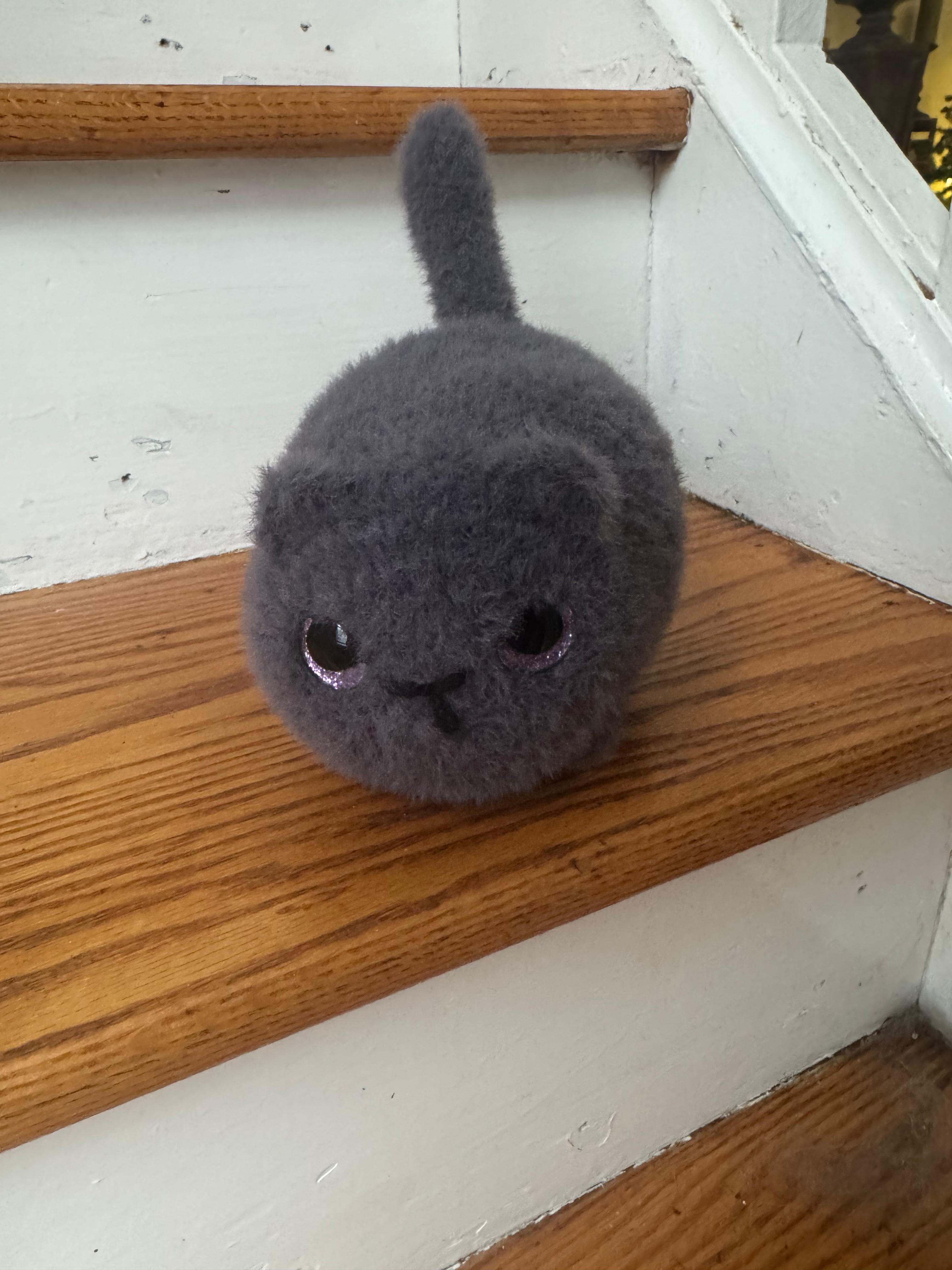 Medium Loaf Kitty Gray