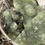 Thumbnail: Raw Prehnite Chunks 