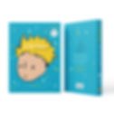 The Little Prince Artist Edition (Limited to 2000 Copies)
