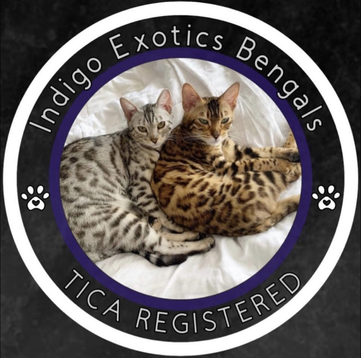Indigo Exotics logo