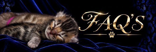 856F3A00-1AA0-478F-A10B-E65C555BAA98.png