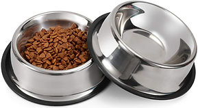 cat bowls steel