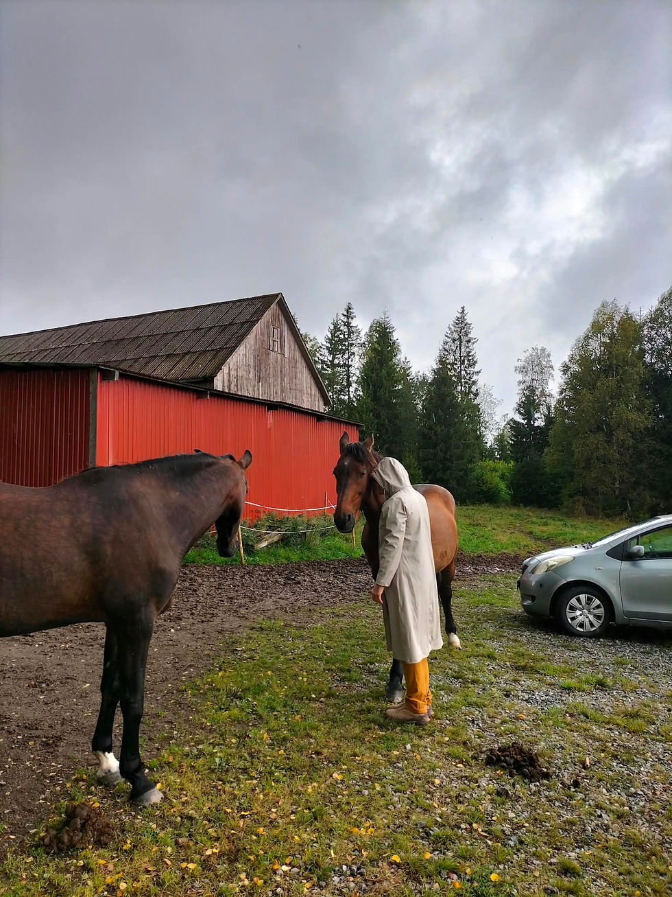 Mexico and I, Sprite looking on.