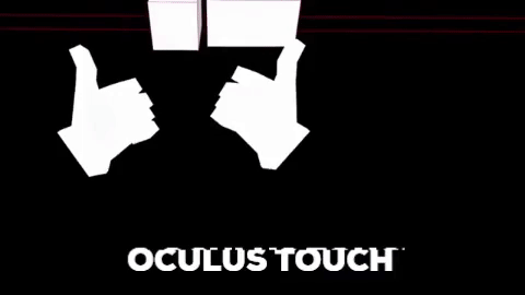 Oculus Touch Test