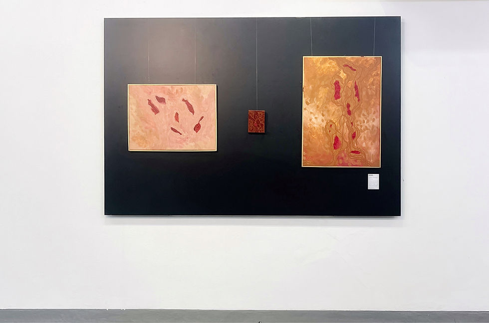 View of group exhibition – Pinacoteca Anderson Fabiano, Taubaté, Brazil, 2024, Works: Soft Cells