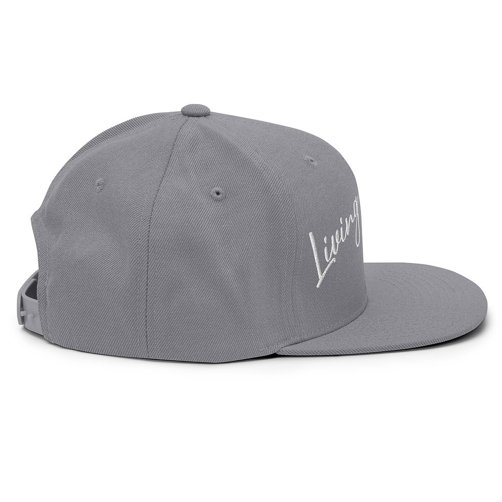섬네일: Snapback Hat - Living