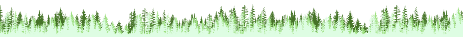 Oregon's Wild Rivers Coast