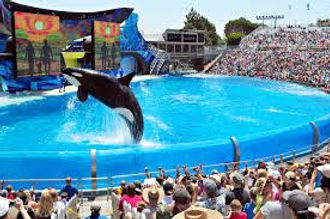 Seaworld San Diego | Apartment Hunting