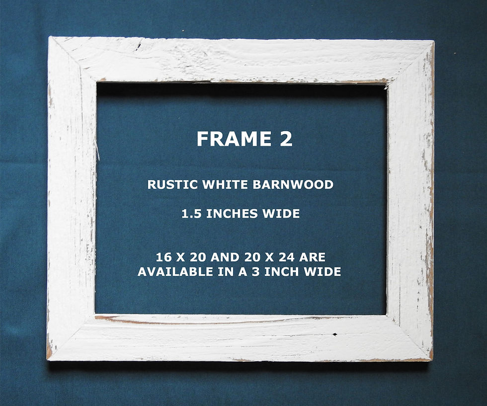 Thumbnail: The Beauty Of Hydrangeas  979