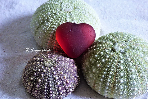 Love Among The Urchins 331