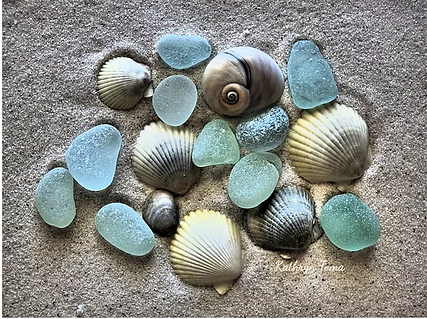 Among The Turquoise 407