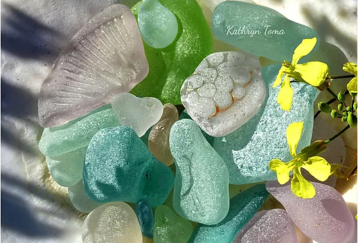 Late Afternoon Sun 434