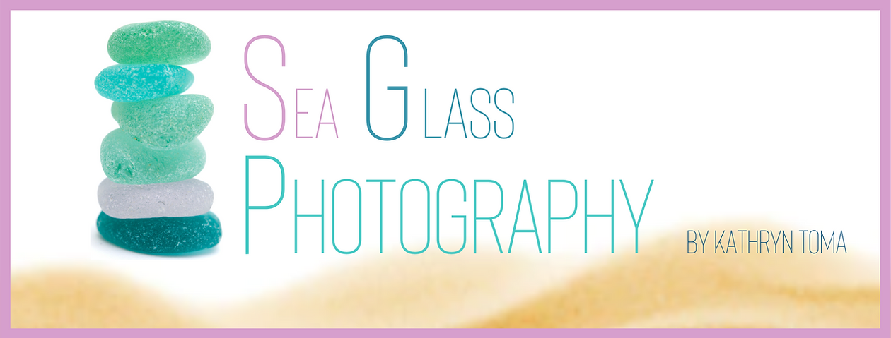 SGP-horizontal-website-header (1).png