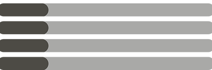 NPC 프로필 설명바.png