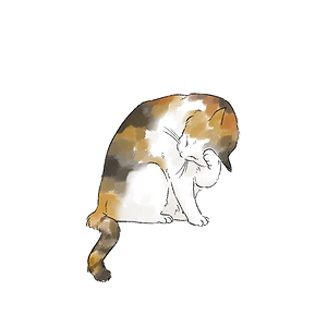 모니카.png