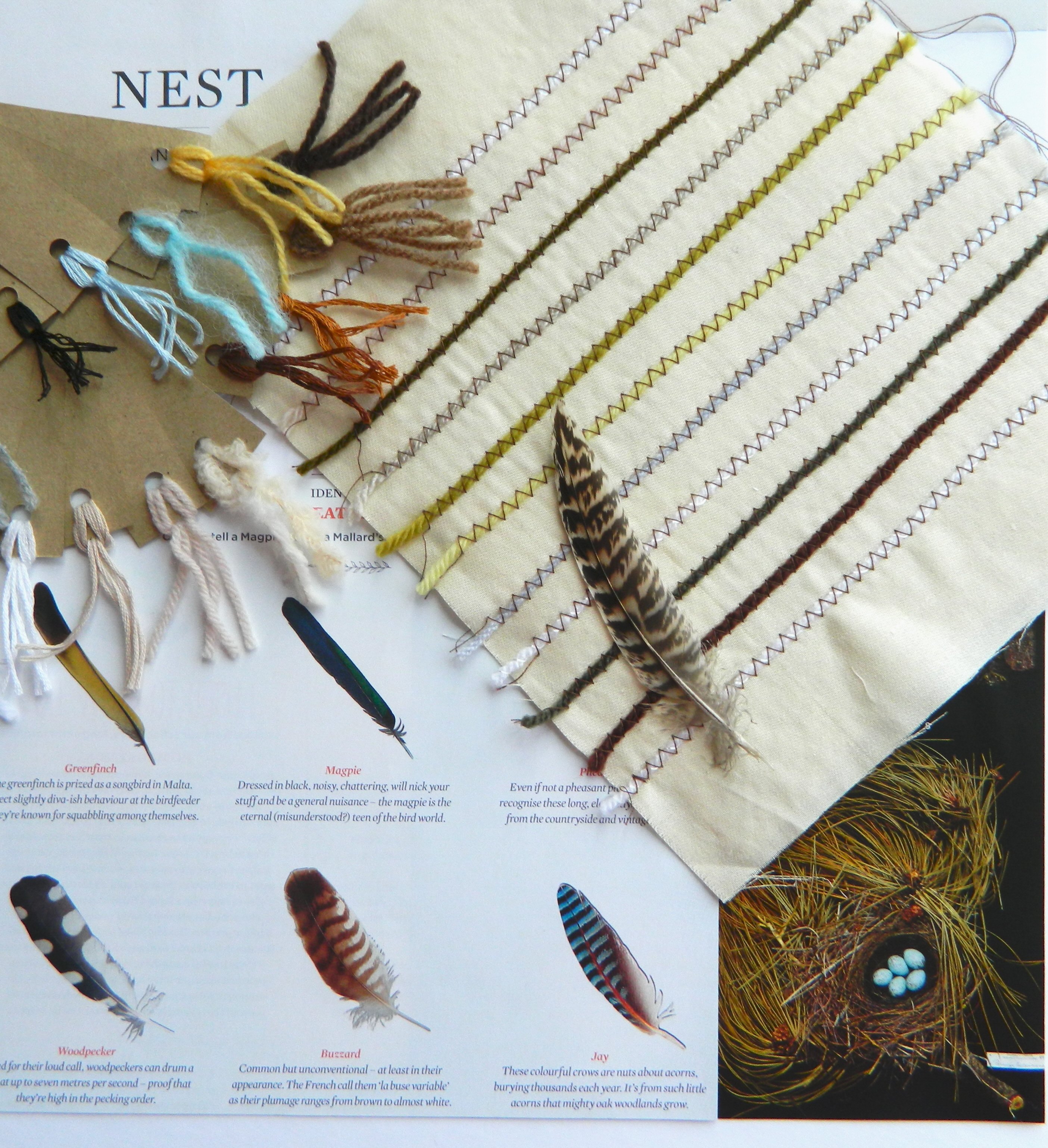 Design Theme - Nest