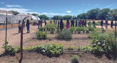 OP-ED: Travis McKenzie Growing the Future