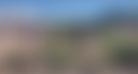 OP-ED: Travis McKenzie Growing the Future