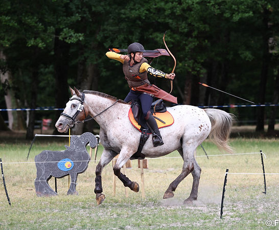 Le tir à l'arc, la (future) discipline favorite de vos cavaliers !