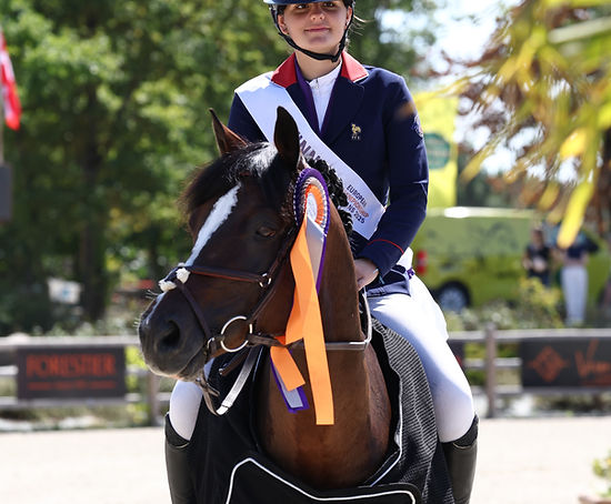 Merci Boston du Verdon !