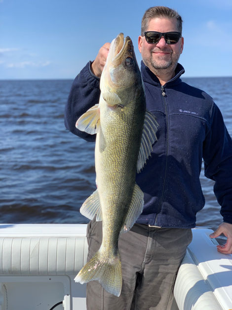 31" Walleye
