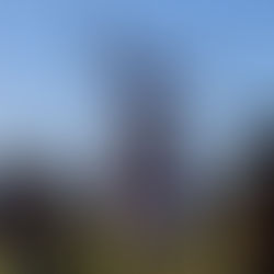 Hopefield Sports day