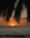 DSC05355.jpg