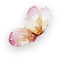 bttrfly2.png
