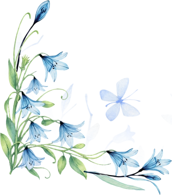subsfrm_flwrs.png