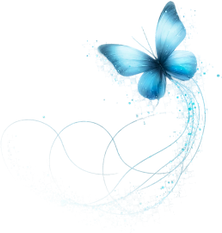 bluebttfly.png