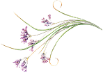 elbxbtmflwr.png