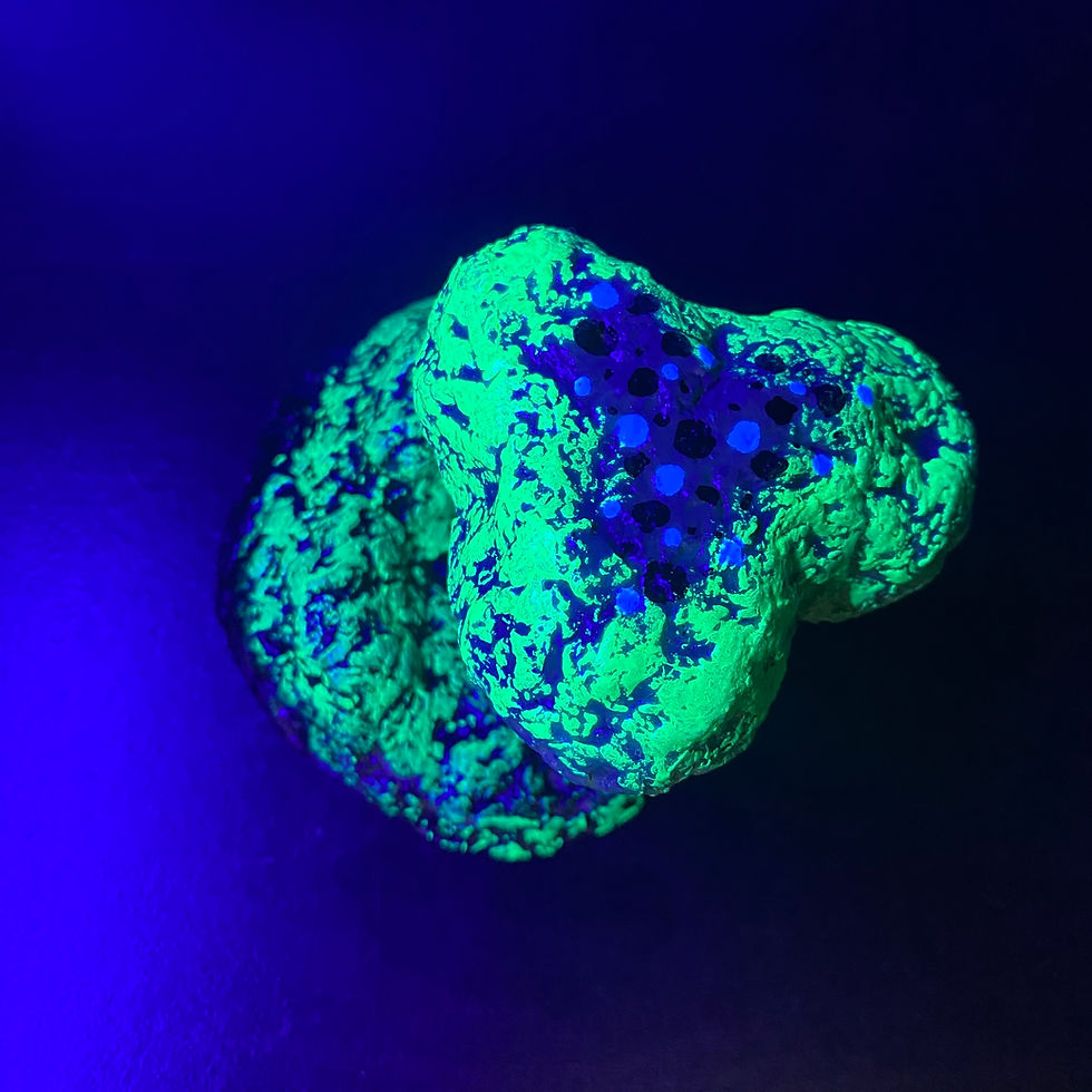 Thumbnail: Handmade Mini Mushroom Figurine #1