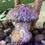 Thumbnail: Gold With Hearts Mushroom Figurine