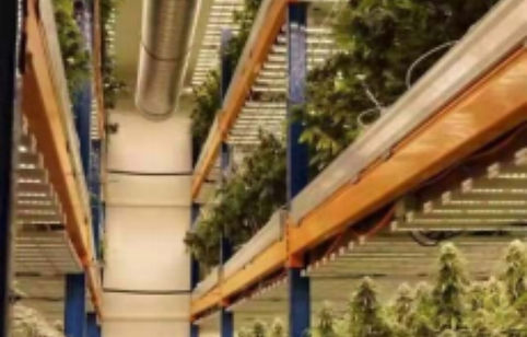 driver-free grow light01