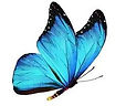 mariposa merly.jpg