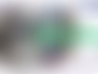 After the Revelry, the Real Prologue