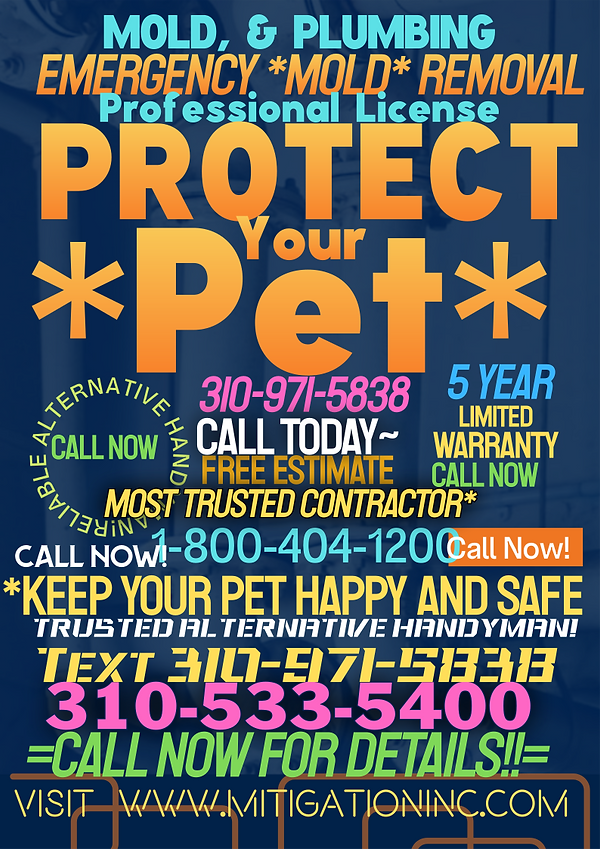 water.damage.redondo.beach.mold.removal.nextdoor.plumber.handyman.near.me.burger.king..dai