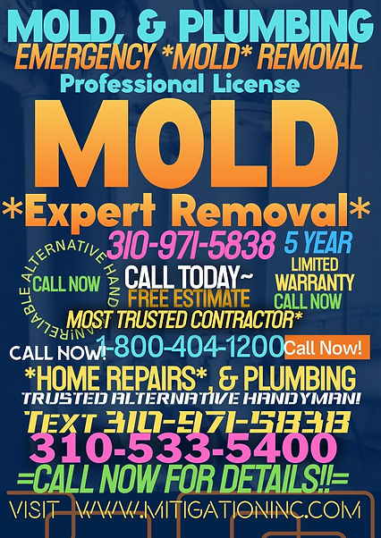 water.damage.redondo.beach.mold.removal.nextdoor.plumber.handyman.near.me.burger.king..dai