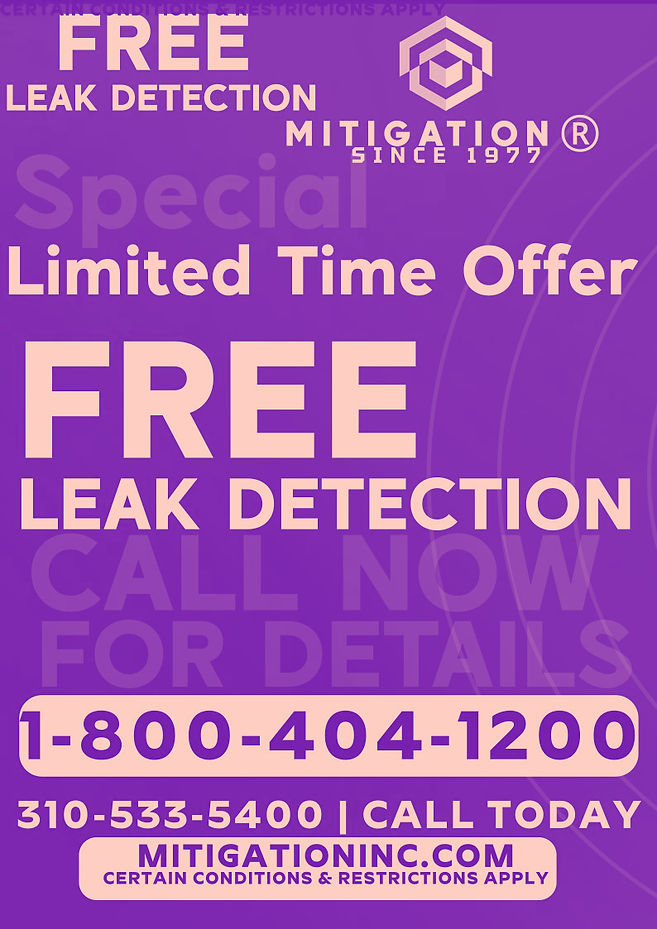 professional plumbing camera inspection under concrete slab South Bay California