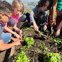 Kids gardening at a school garden