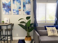 Living area in Suite #21, at the Sunny Palms Inn, Lake Worth, West Palm Beach, FL 
