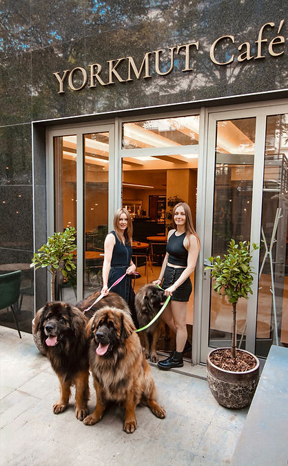Founders of Yorkmut Café