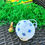 Miniaturbild: APo2232 PDF Libelle