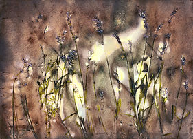 Weir Farm Lavender 150dpi.jpg