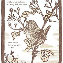 Hand printed linocut print of a wren book illustration by Mirka Hokkanen