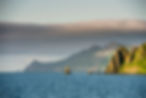 BeringSeaCod20120420(web).jpg